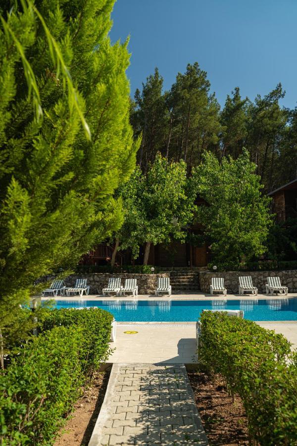 Olimpia Hotel Olympos Luaran gambar
