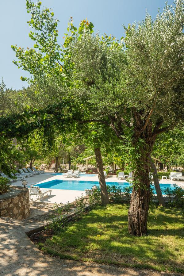 Olimpia Hotel Olympos Luaran gambar