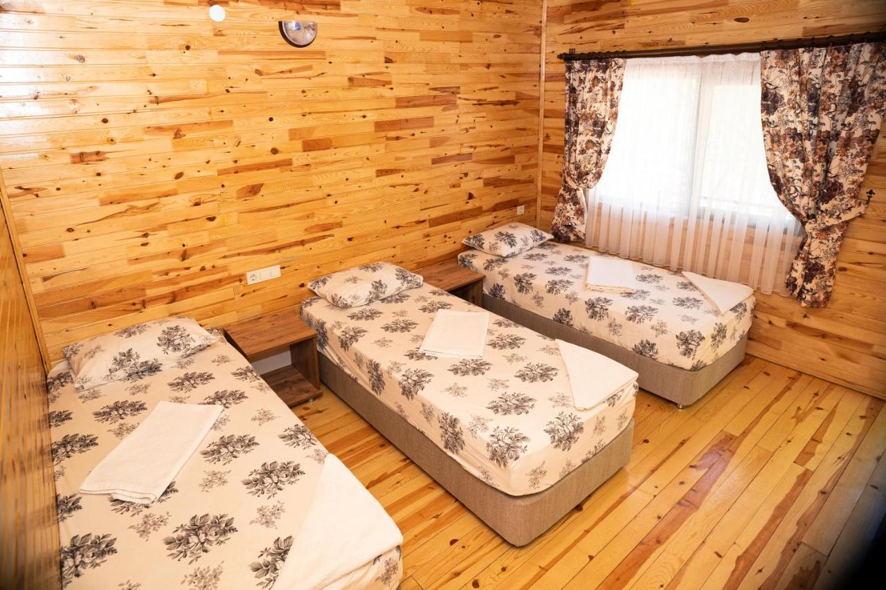 Olimpia Hotel Olympos Luaran gambar