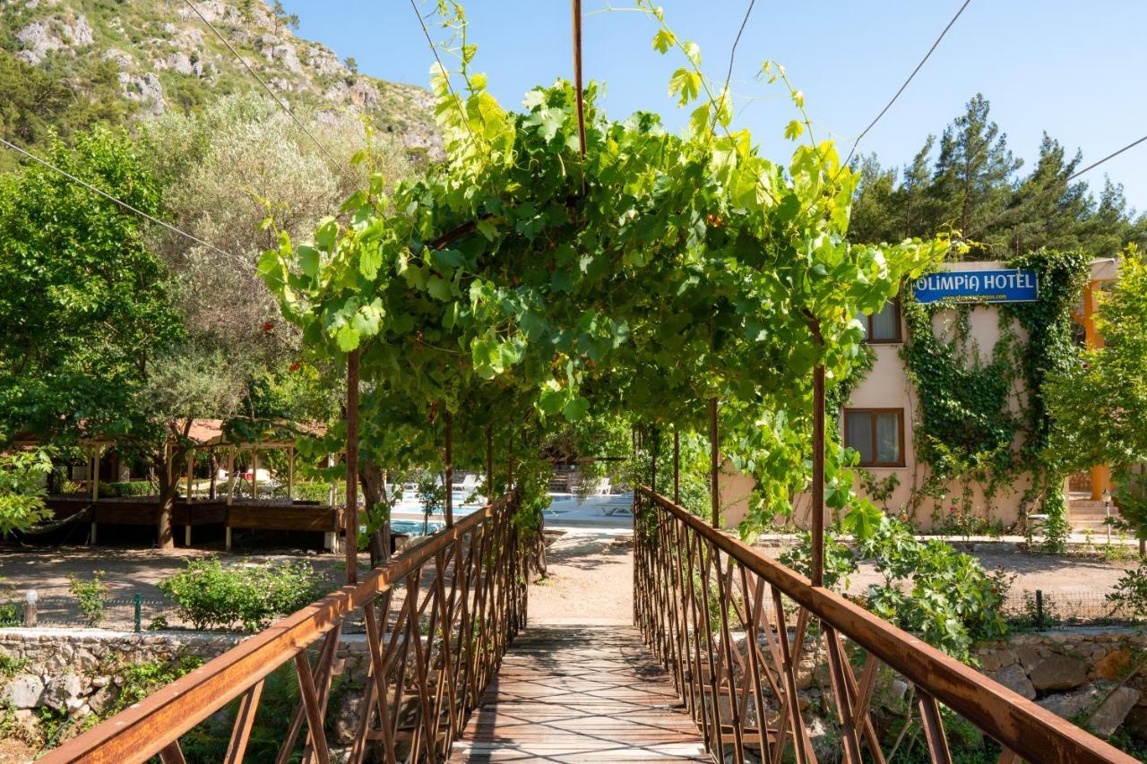 Olimpia Hotel Olympos Luaran gambar
