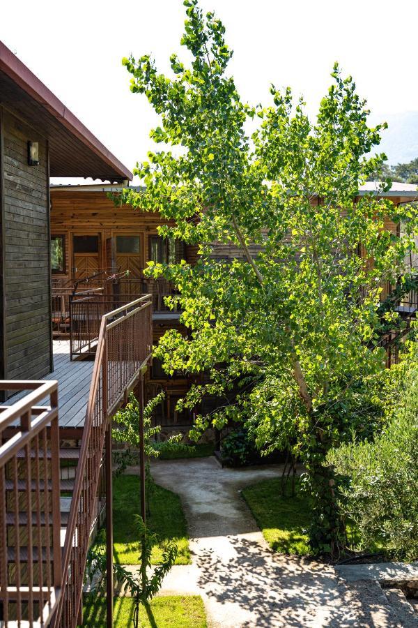 Olimpia Hotel Olympos Luaran gambar