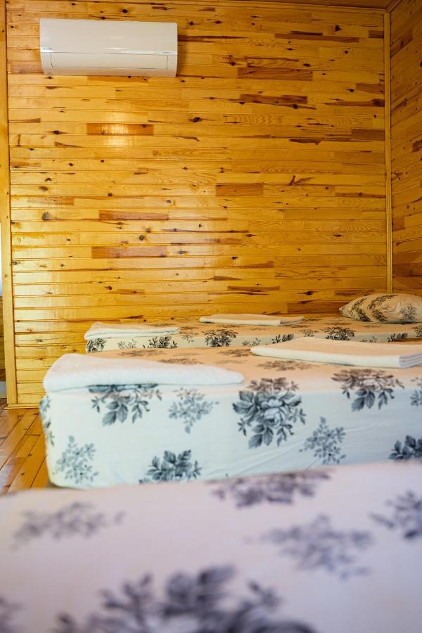 Olimpia Hotel Olympos Luaran gambar